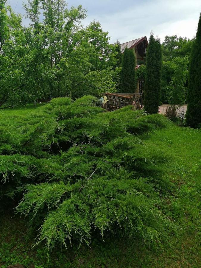 Hotel Casa Candea Sighișoara Zewnętrze zdjęcie