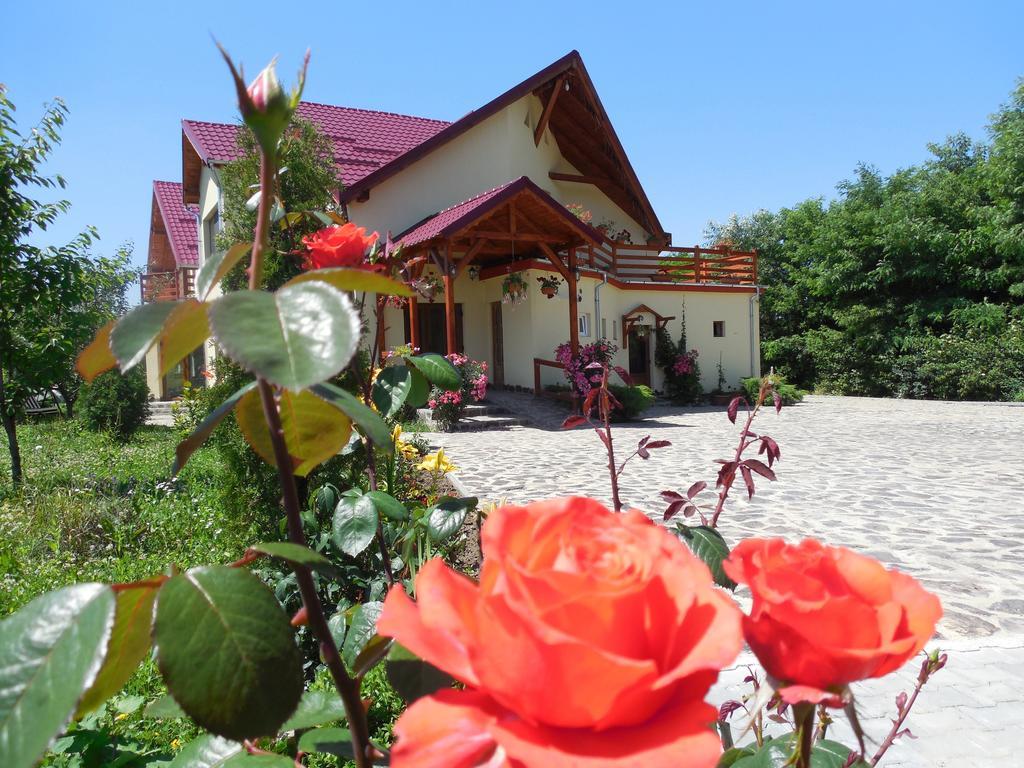 Hotel Casa Candea Sighișoara Zewnętrze zdjęcie